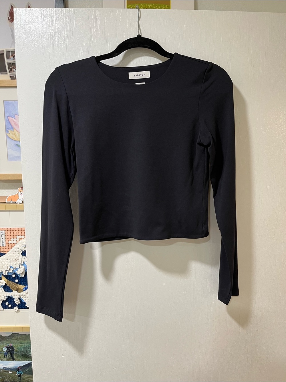 Aritzia Babaton Contour Long-Sleeve Crewneck Crop